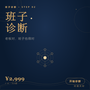 企业班子诊断 2999元