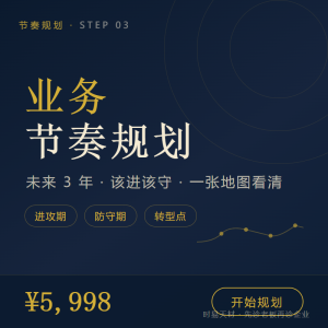 企业业务节奏规划 5998元